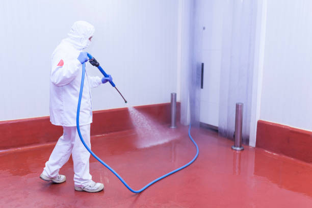 Best Sidewalk and Walkway Cleaning  in Leavenworth, WA